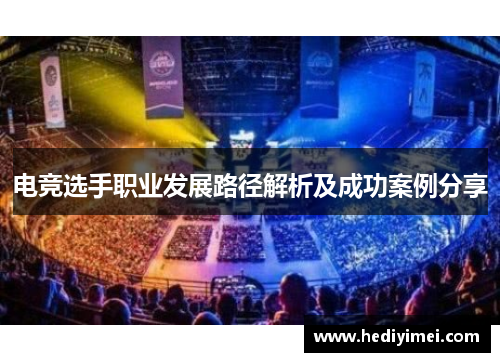 电竞选手职业发展路径解析及成功案例分享