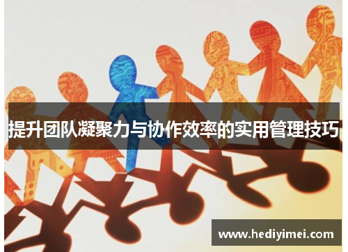 提升团队凝聚力与协作效率的实用管理技巧